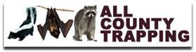 Broward County Animal Control in Deerfield Beach