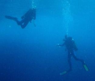 Deerfield Beach Scuba Diving