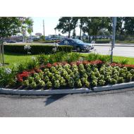Diamond Cuts Sunrise Commercial Landscaping.
