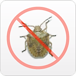 Florida Pest Control Services
